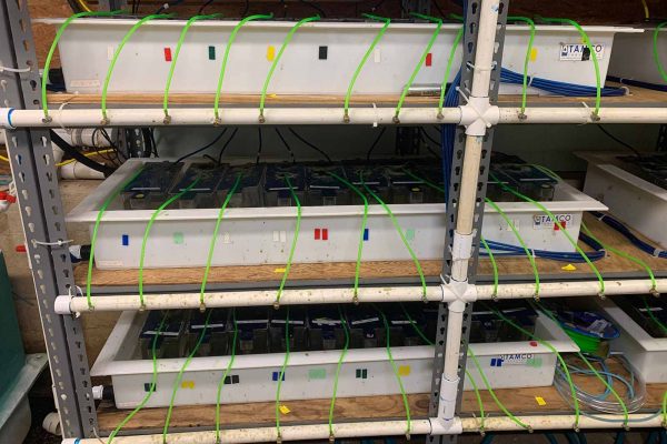 Haga clic para ampliar la imagen