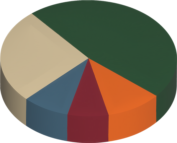 Un gráfico circular que muestra las categorías de proyectos de capital de DWR