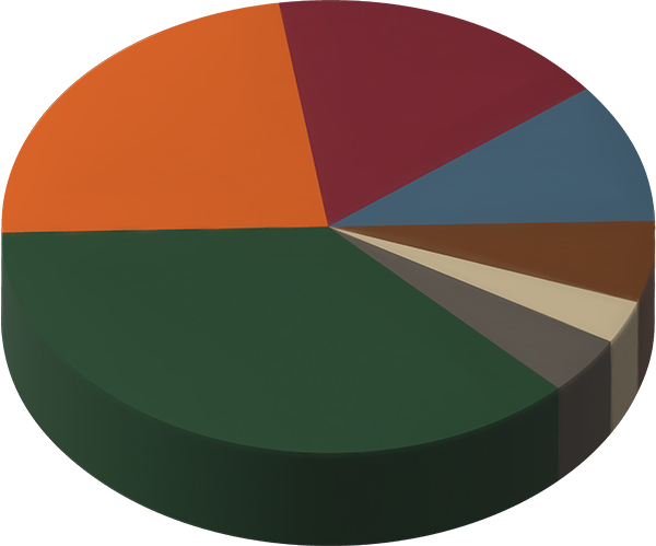 Un gráfico circular que muestra las fuentes de ingresos de DWR