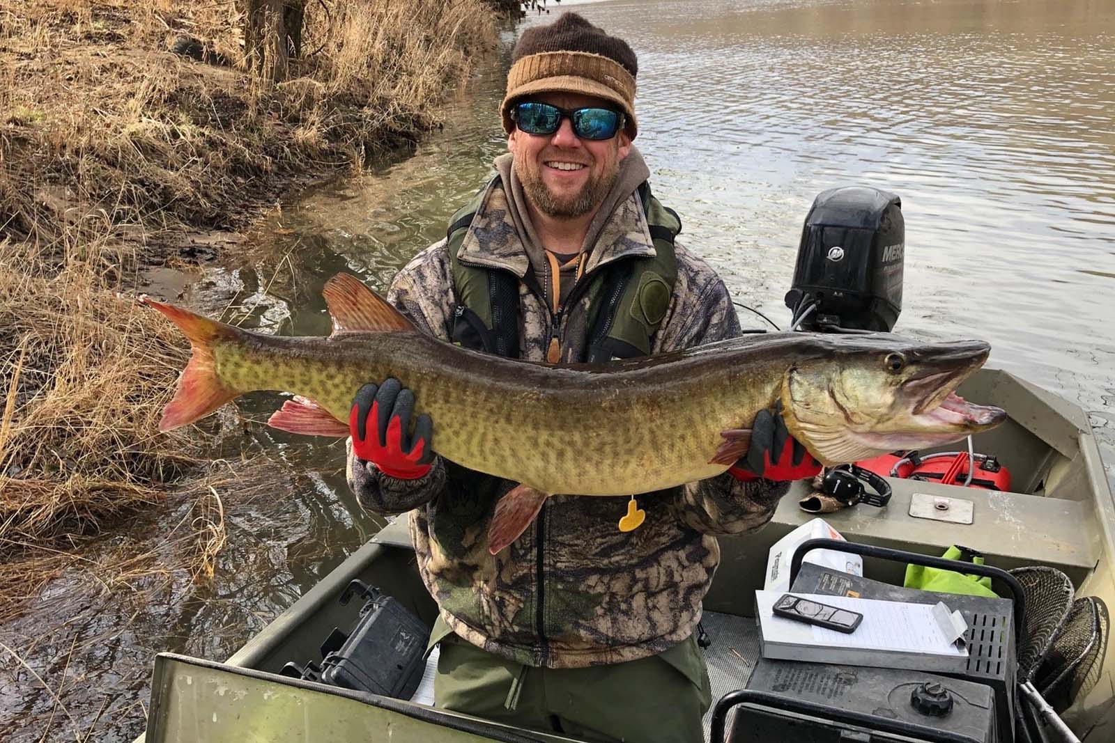 Un pescador en un bote sosteniendo un almizcle