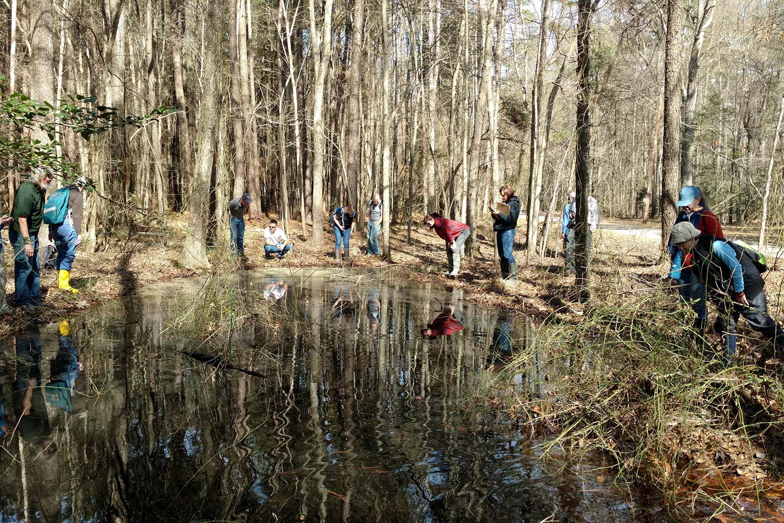 Personas observando el hábitat en pozas vernales