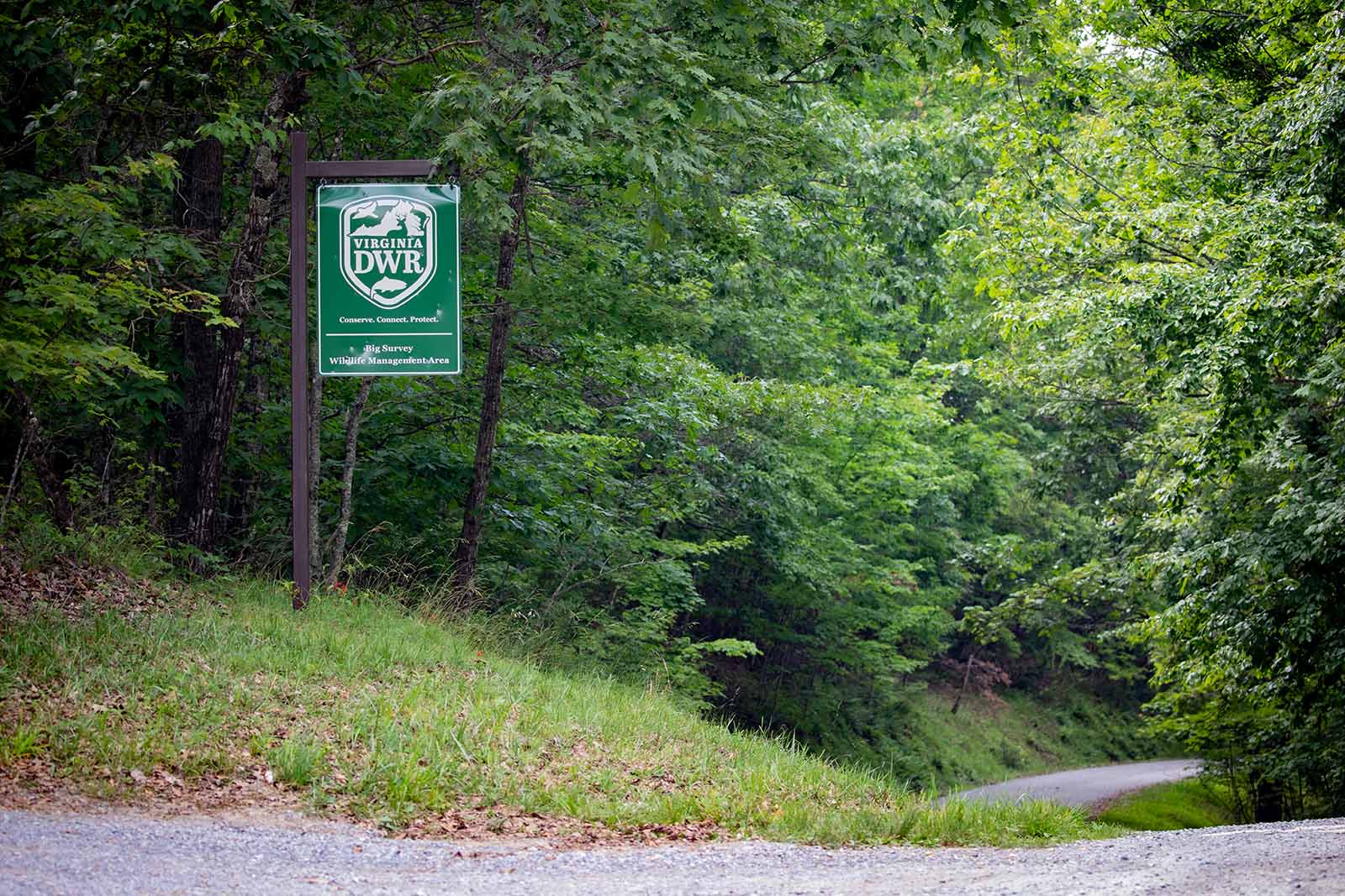 Cómo nos financiamos y cómo gastamos
