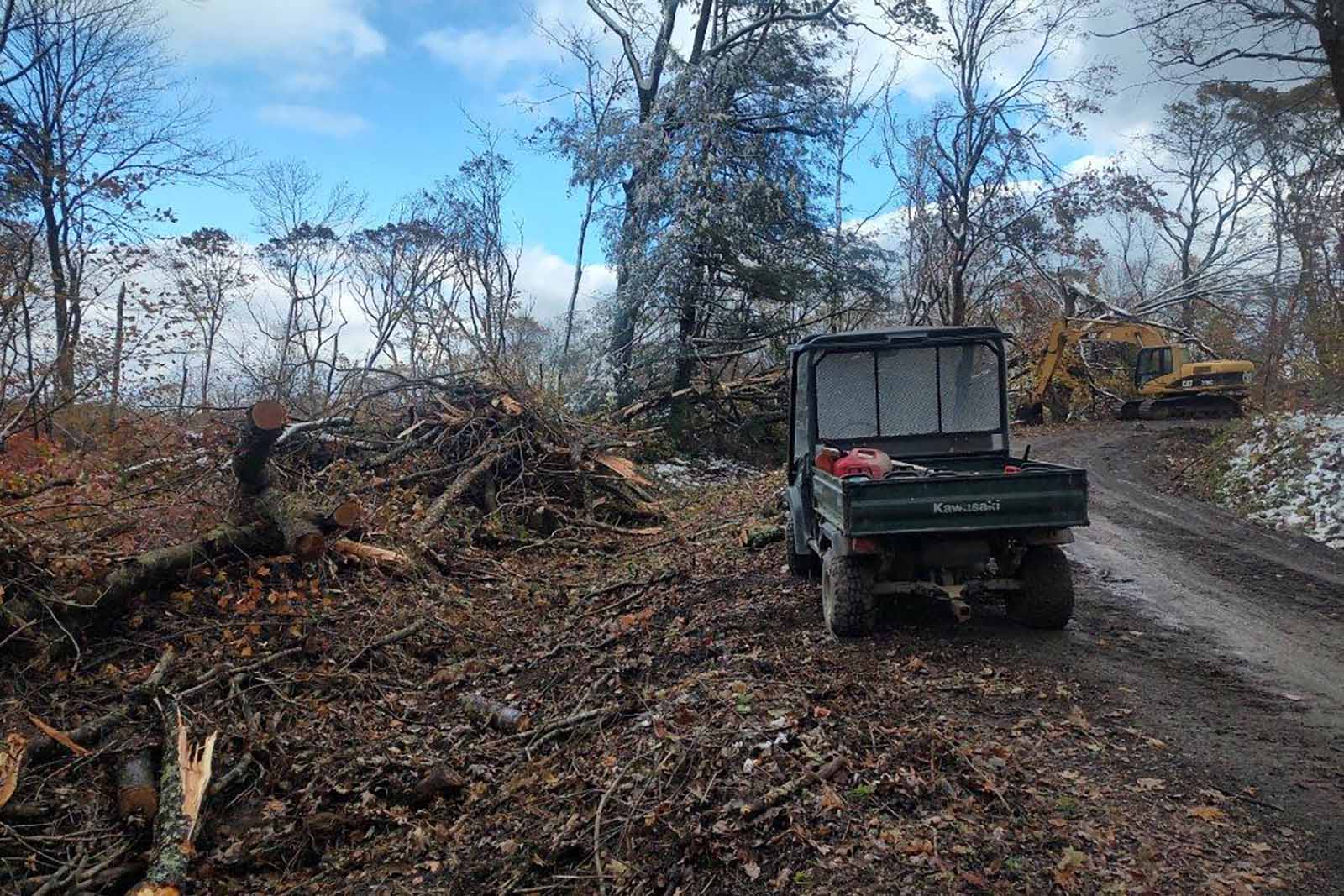 Recuperación de Helene