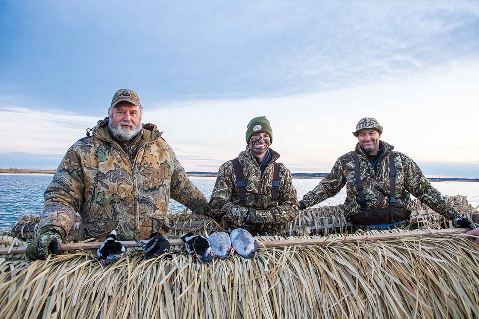 ¿Cómo puede ayudar?