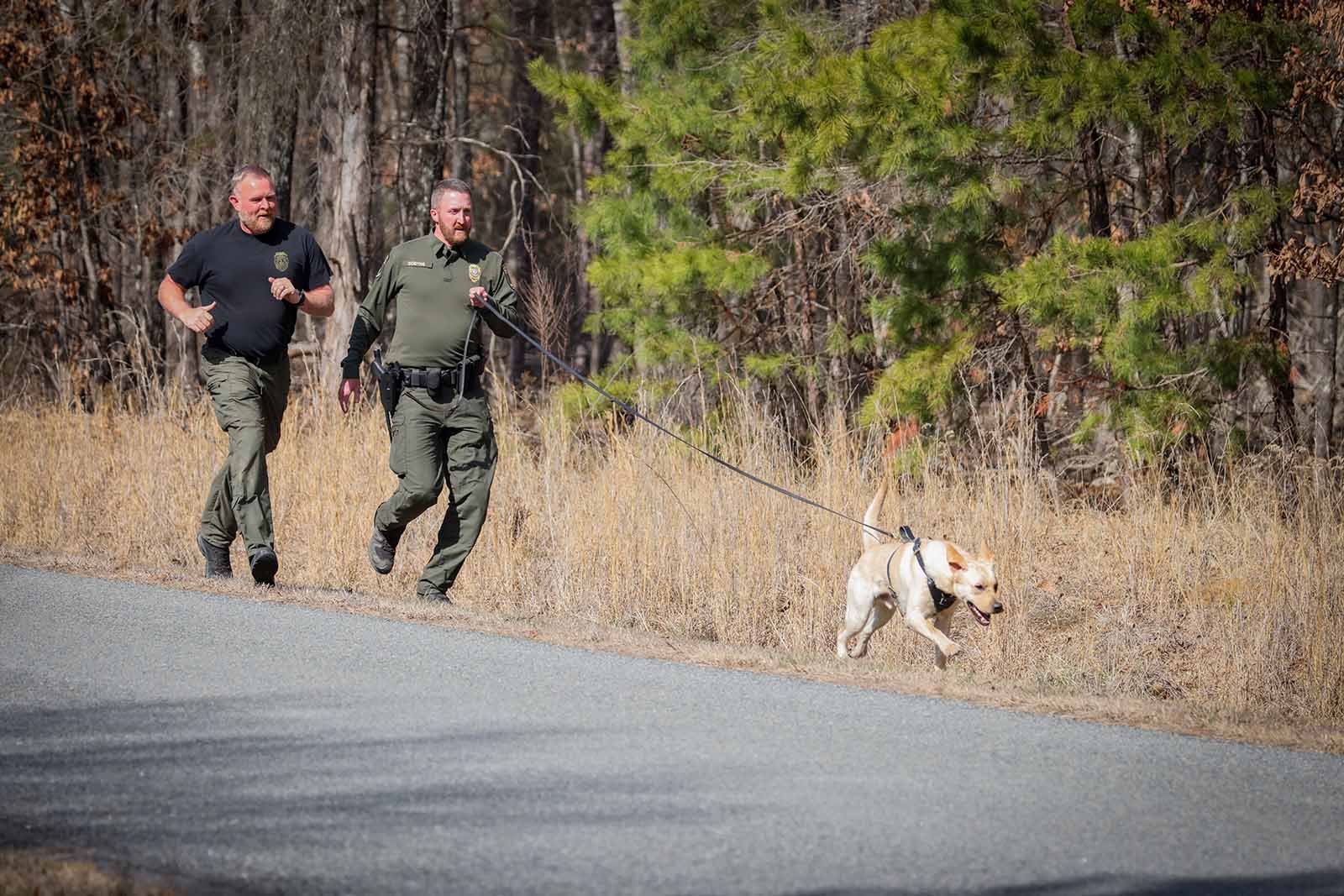 Capacidad de expansión K9s