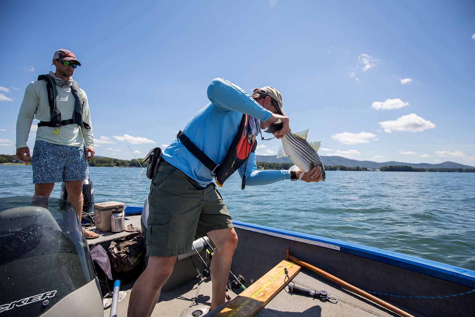 Investigación sobre la mortalidad del róbalo rayado