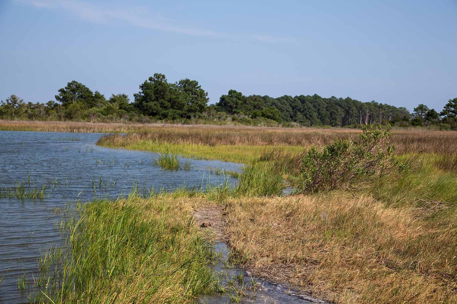 Construyendo resiliencia
