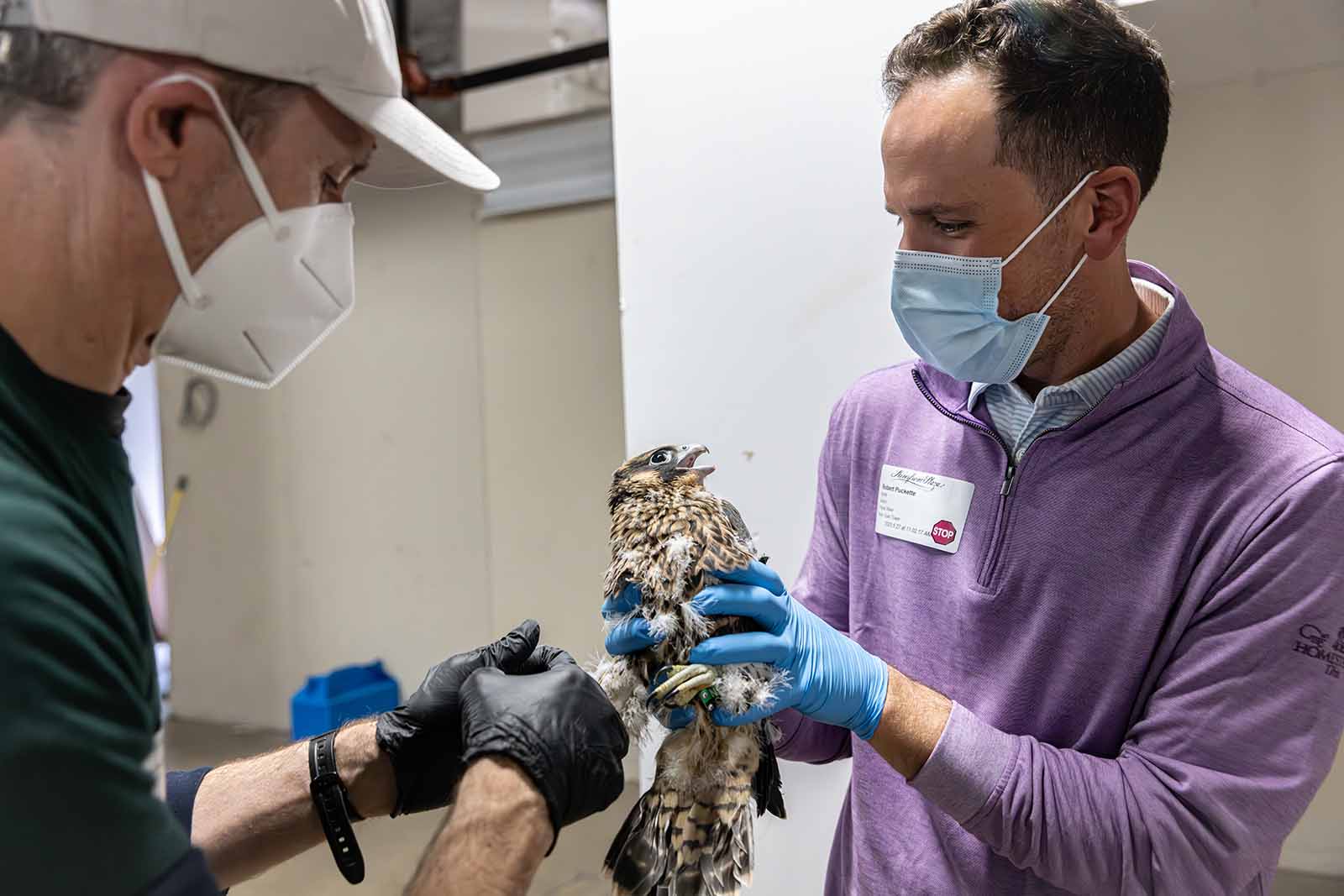 Cerveza Triple Crossing