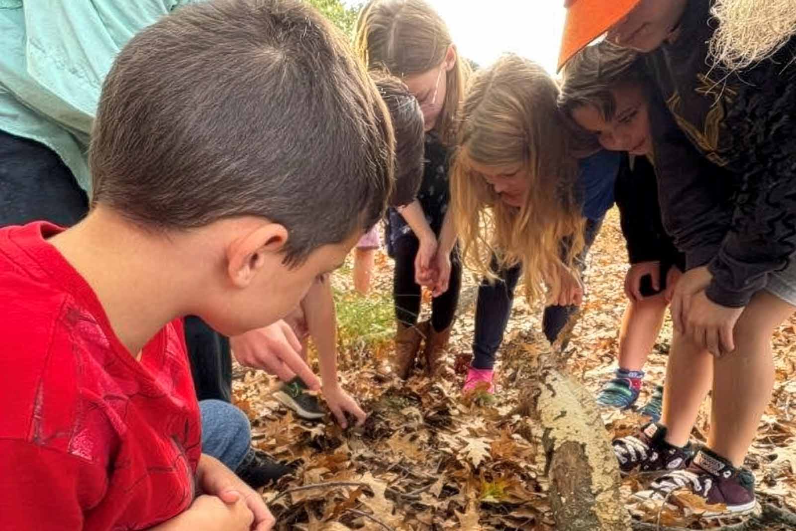 Año récord para las escuelas Virginia Naturally