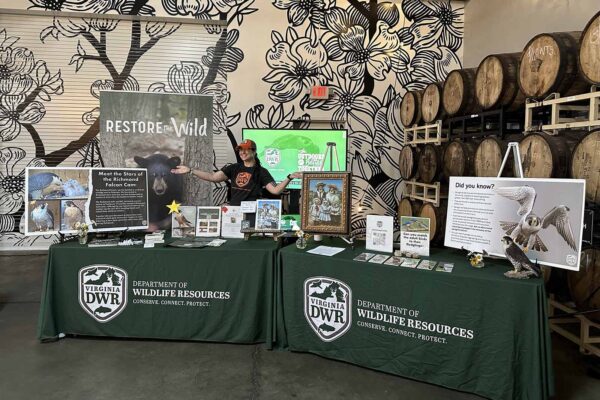 Un empleado de DWR gestiona un puesto de información