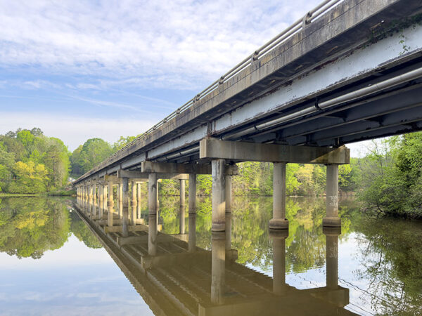 Puente de501 que es un importante sitio de anidación para una colonia de golondrinas de acantilado