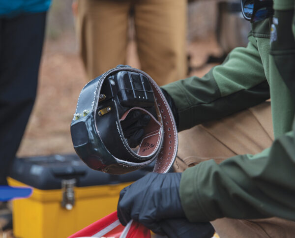 Una imagen de los collares de radio que se usaron para marcar a los osos