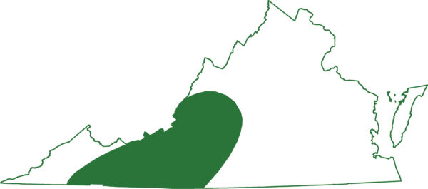 Mapa del área de distribución de la salamandra de vientre negro