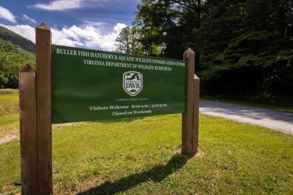 Afiche de bienvenida de la piscifactoría Buller