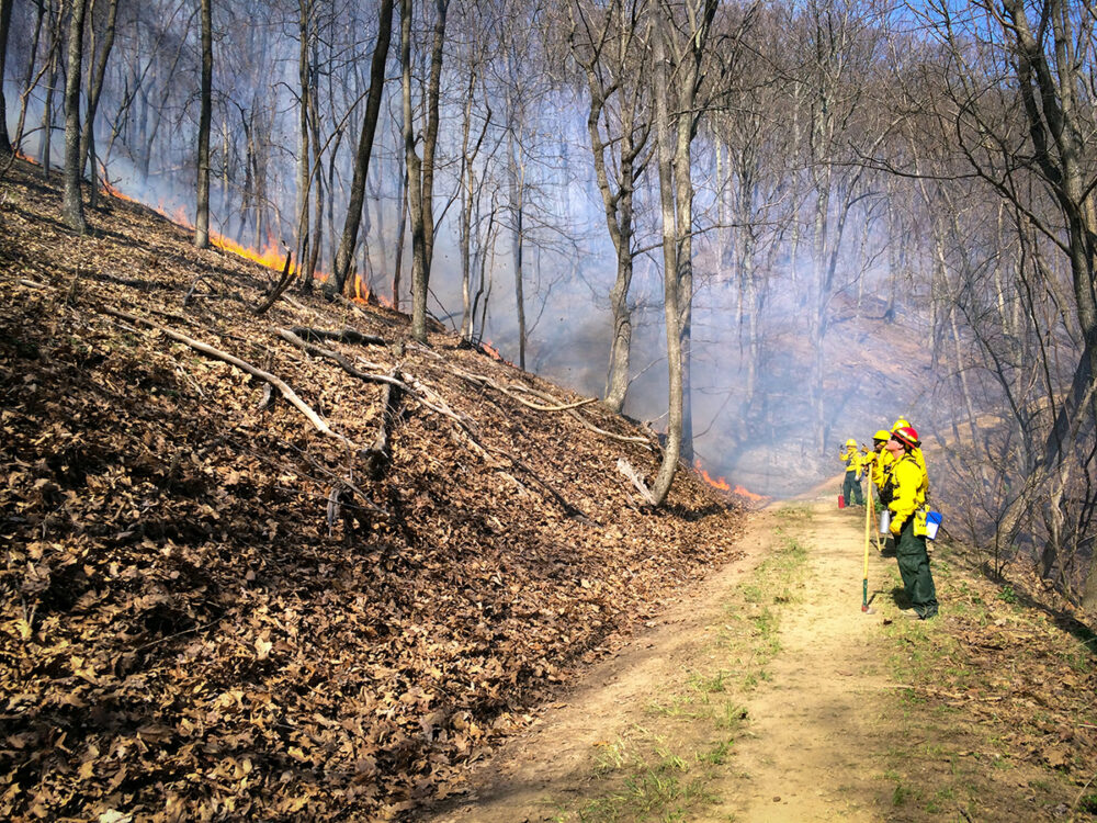 Una imagen de una línea de control que se construyó antes de que ocurriera el incendio