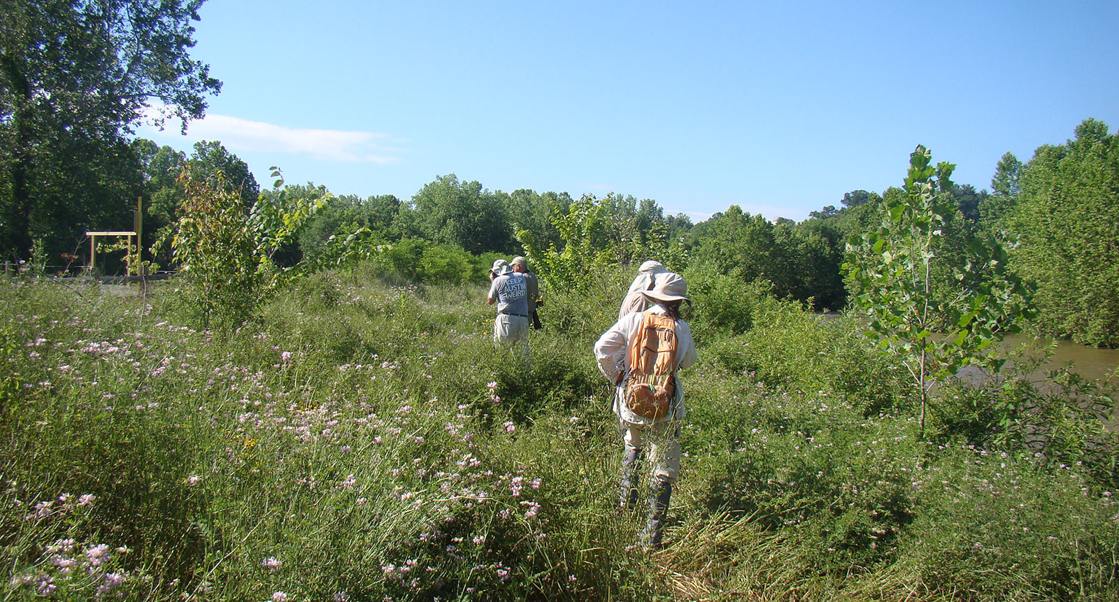 Una foto de cuatro personas caminando por un campo de hierba hasta las rodillas.