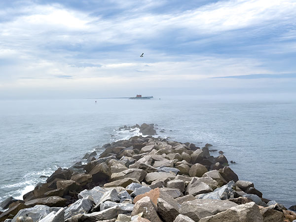 Los embarcaderos y las rocas que rodean la isla 4son un lugar de reunión para gaviotas, pelícanos marrones y correlimos púrpura que hibernan. Crédito de la foto: Lisa Mease
