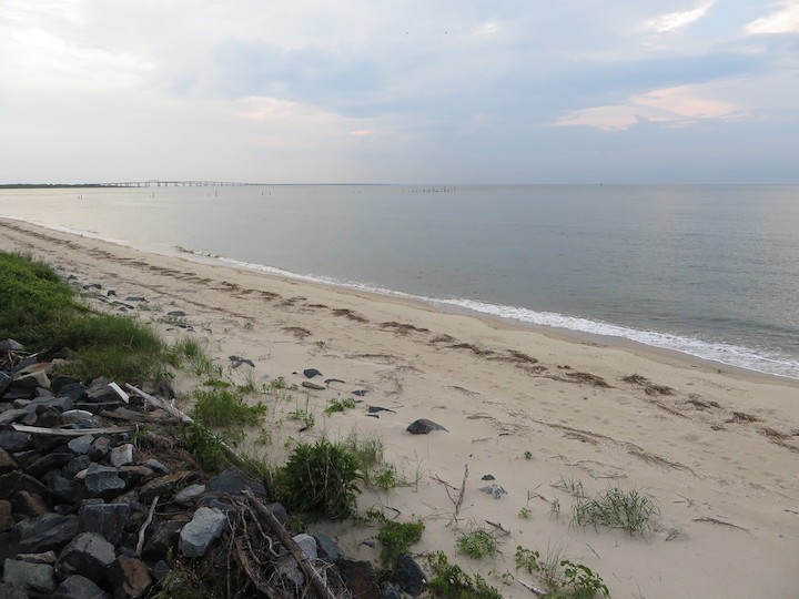 Una imagen de una playa en la bahía de Chesapeake; Tiene olas suaves y la imagen fue tomada sobre una pila de rocas con vistas a la parte arenosa de la orilla