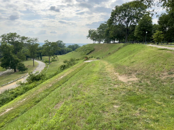 Las aves urbanas familiares, como los petirrojos americanos y los sinsontes del norte, predominan en la parte superior, pero una caminata por la colina es recompensada con pájaros carpinteros, gorriones y pinzones. Crédito de la foto: Lisa Mease 