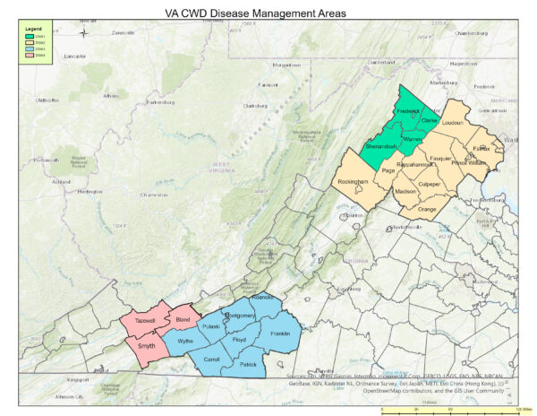 Mapa de Virginia que muestra los condados incluidos en cada área de manejo de la enfermedad de CWD para 2025-2026