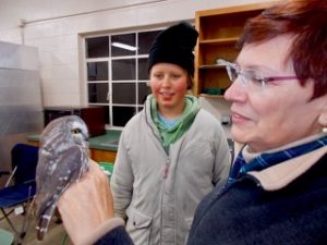 Imagen de dos personas anillando un pequeño búho