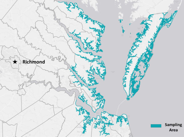 Un mapa que muestra las zonas de Virginia donde se realizará la ejemplificación de Diamondback Dash, principalmente a lo largo de las zonas costeras cercanas a la bahía de Chesapeake y al océano Atlántico