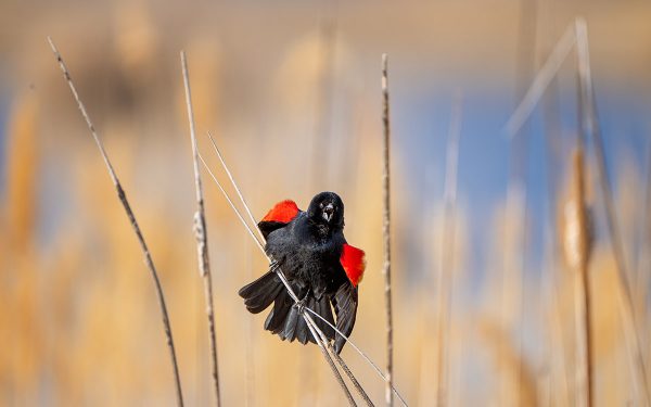 Haga clic para ampliar la imagen