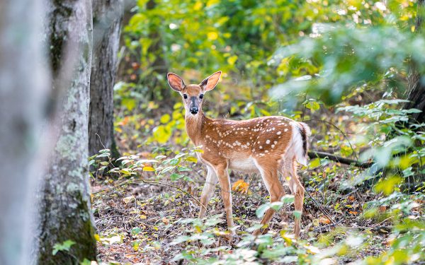 Haga clic para ampliar la imagen