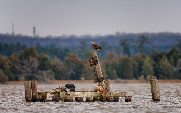 Haga clic para ampliar la imagen