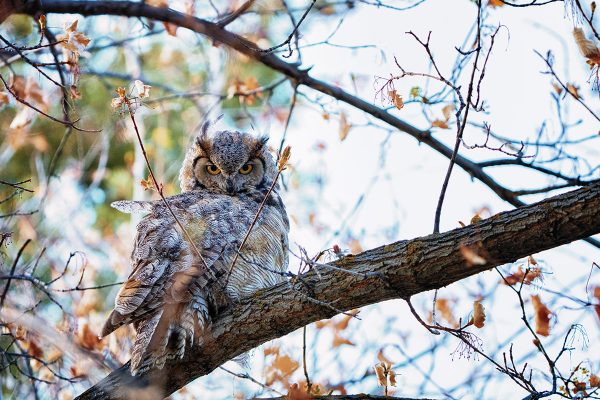 Haga clic para ampliar la imagen