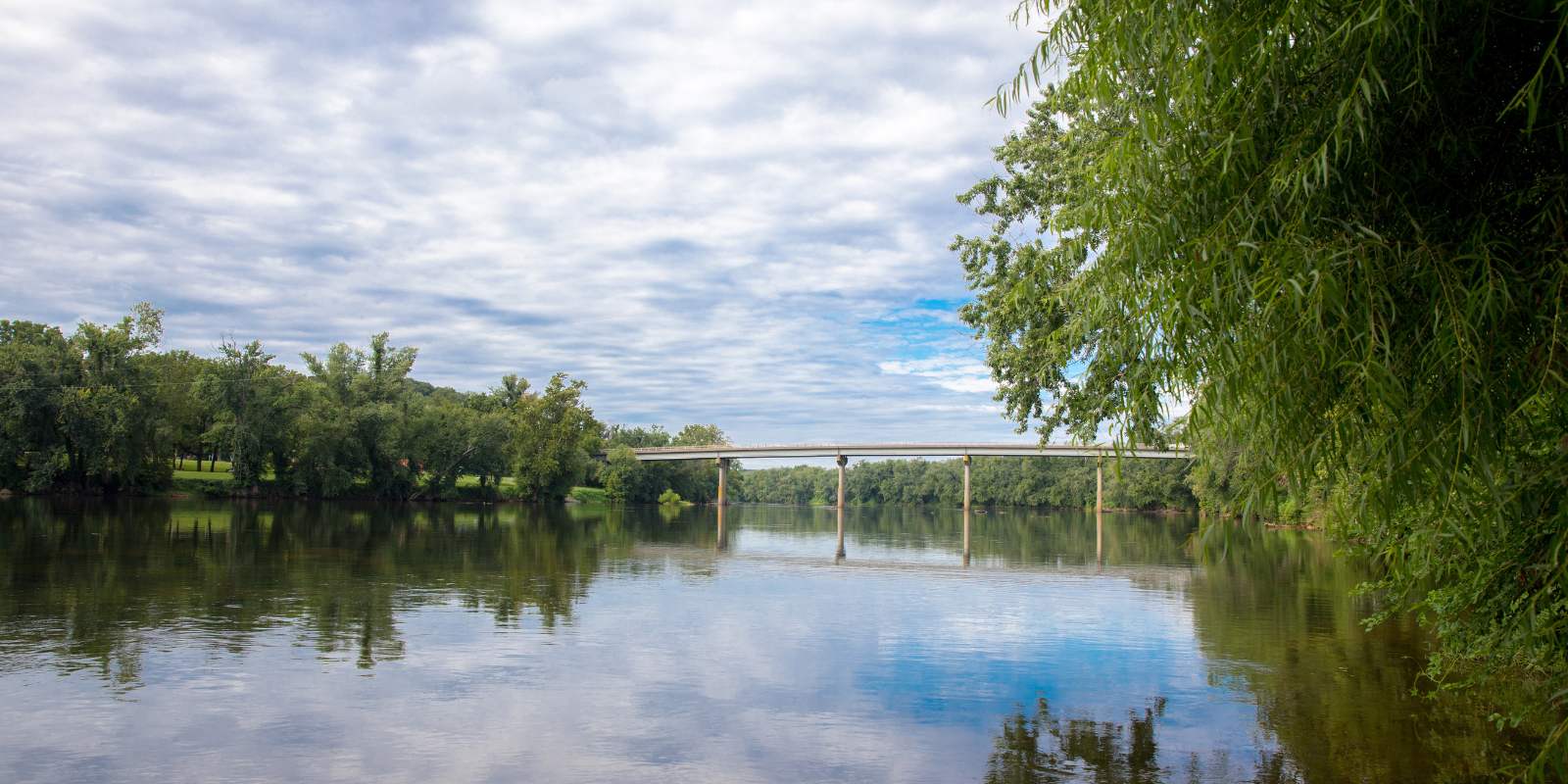 Una imagen de un puente que cruza un río; con árboles que bordean el agua, este es un hábitat fenomenal para el mejillón espinoso James