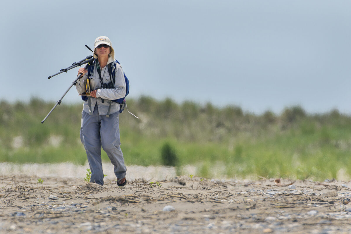 Una imagen de Roth con una cámara trabajando en la fotografía de los chorlitos