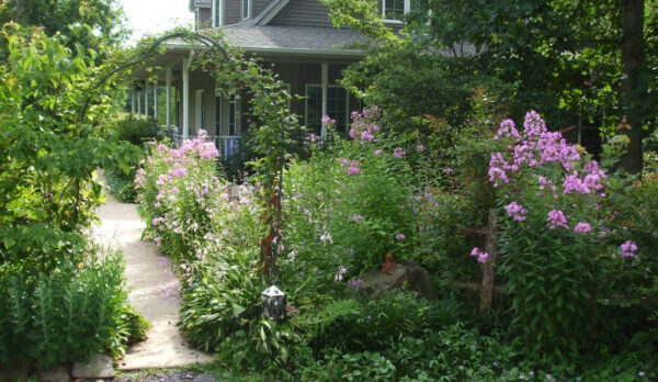 Una imagen de un jardín de varias capas plantado para atraer la vida silvestre