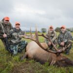 Cuatro hombres posando con un alce muerto en un campo en un día nublado.