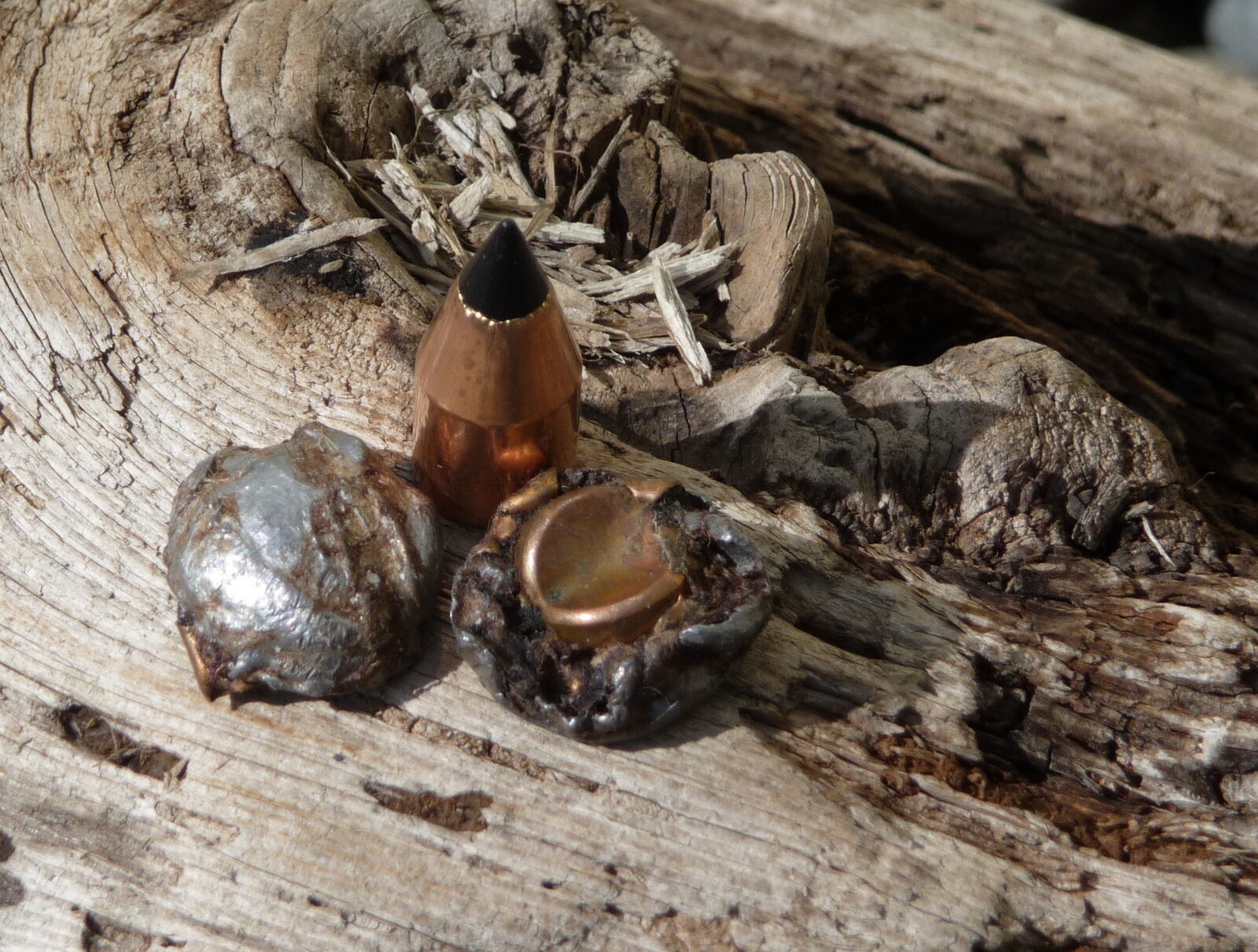 Una imagen de balas de avancarga gastadas en un trozo de madera