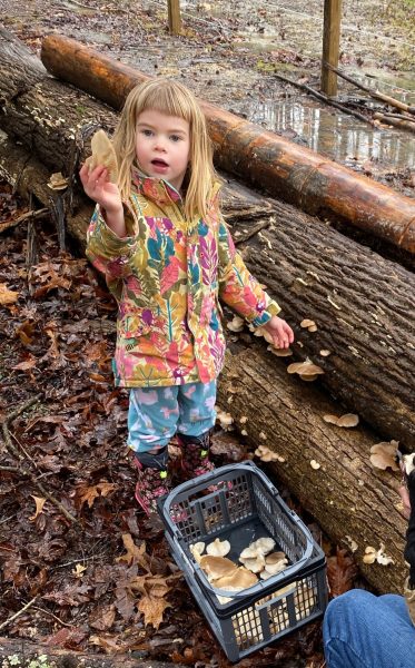Una imagen de una niña de pie junto a una caja de hongos sosteniendo un hongo
