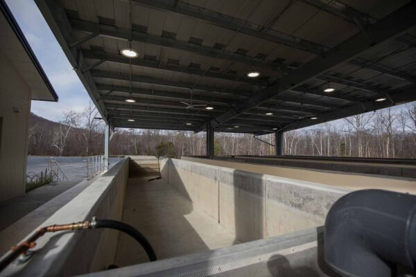 Una imagen de los tanques de recolección al aire libre en la planta de incubación