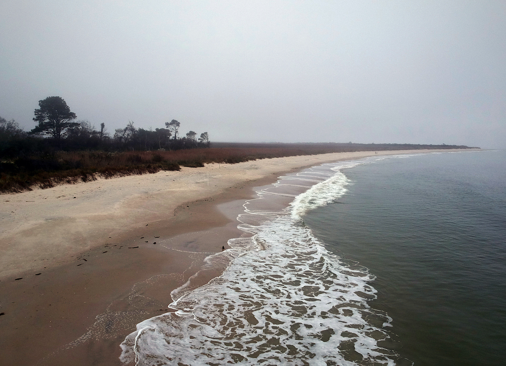 Una imagen de una playa con árboles escasos en la orilla; esta es la reserva natural de Grandview.