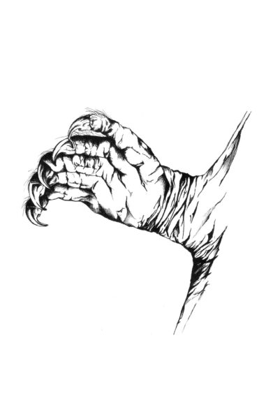 Una imagen de Murciélago Gris