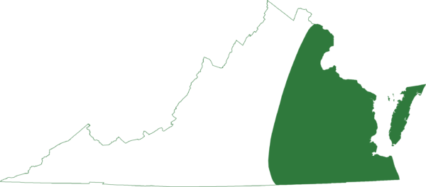 La rana arborícola verde se encuentra en todas las regiones orientales del estado, incluidas las islas barrera