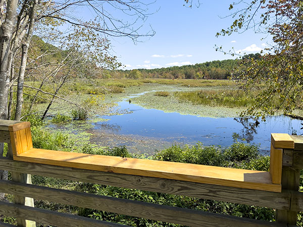 Las barandillas rebajadas del paseo marítimo permiten a todos buscar garzas y aves acuáticas en el estanque. Crédito de la foto: Lisa Mease