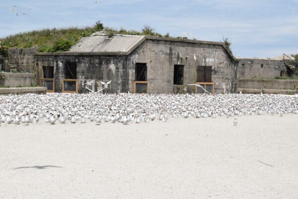 Una imagen de una antigua estructura de hormigón construida en la playa