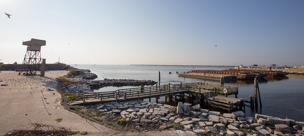 Parte del recientemente renovado Fort Wool, incluidas algunas de las barcazas colocadas cerca para hábitat de anidación adicional.