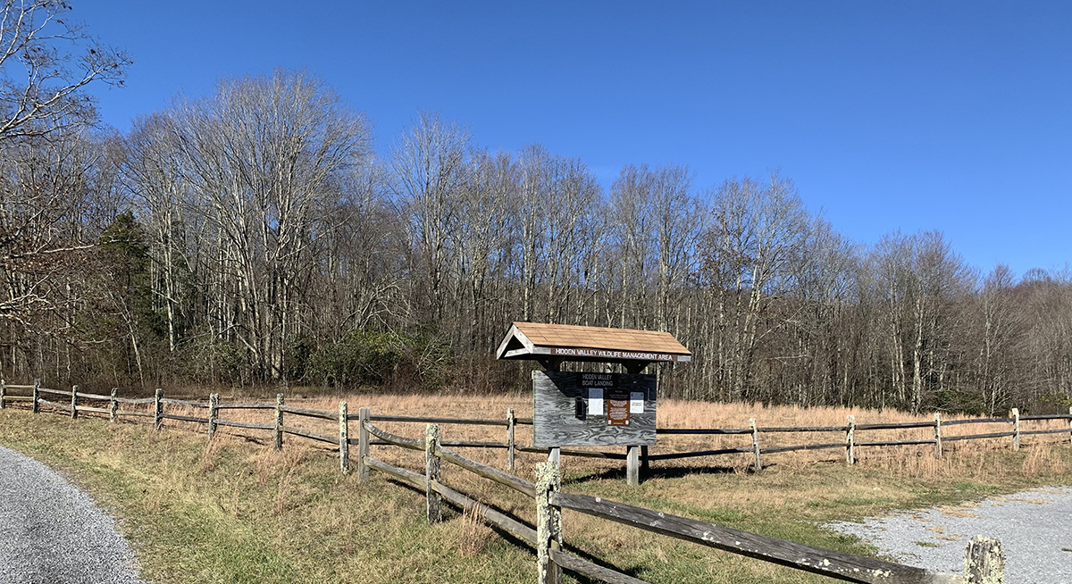 La futura parcela de polinizadores en Hidden Valley WMA después de la aplicación de herbicidas, con las especies de plantas indeseables muertas.