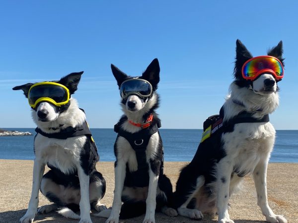 Flyaway Bett, Zoe y Hoop ataviados con su equipo de seguridad. 