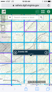 Una imagen de los bloques divididos en una cuadrícula