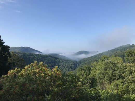 Una imagen de montañas boscosas
