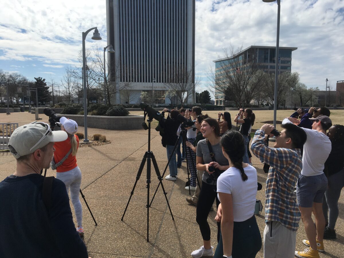 La clase de Ecología Urbana y Evolución de la Universidad de Richmond y los biólogos del DWR monitorean a los halcones