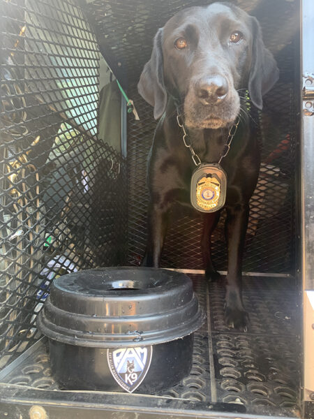 K9 Bailey, el labrador negro, en su perrera con su cuenco de agua especial que no se derrama