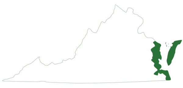 La tortuga lora solo se encuentra en la costa este inferior de Virginia